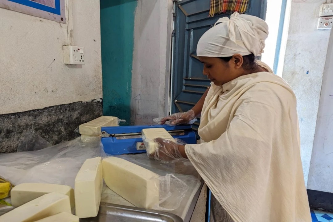 বাংলাদেশের পনির বিপ্লব: স্থানীয় দুধ থেকে তৈরি মোজারেলা রপ্তানি হচ্ছে কানাডা, ভারতে