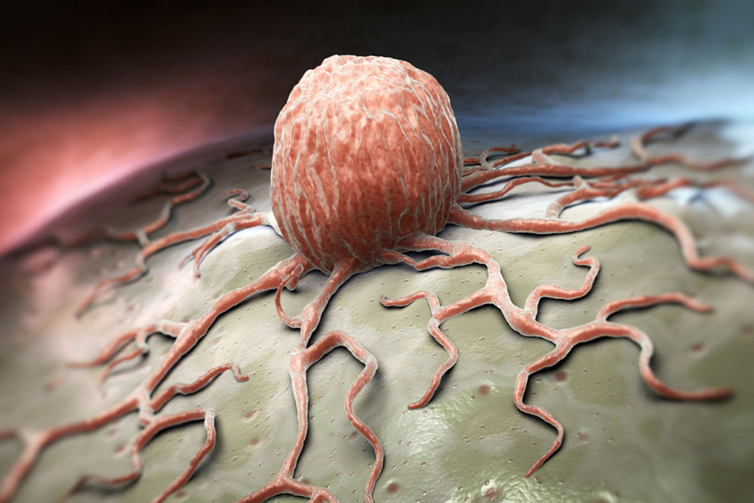 ক্যানসার থেকে বাঁচার সহজ উপায় জানাল হার্ভার্ড, ৩ পানীয়েই মিলবে রক্ষা